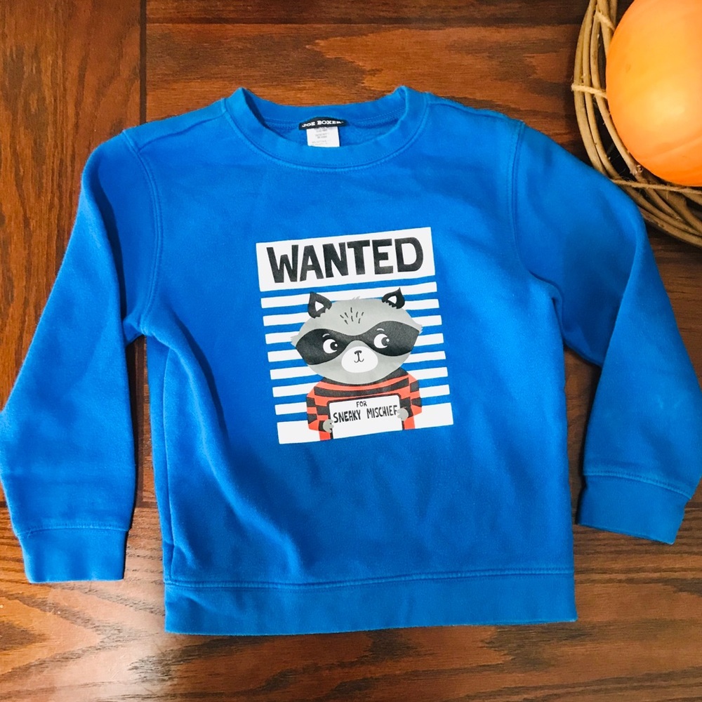 🐭Joe Boxer sweater 🐭